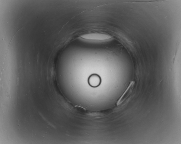 X0000112140417200908141158