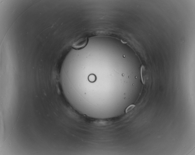 X0000112140419200908141158