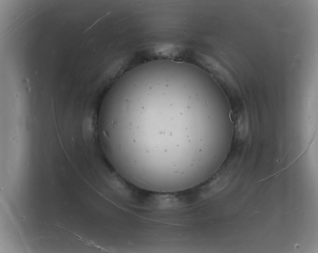 X0000112140424200908141158