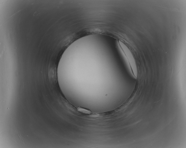 X0000112140425200908141158