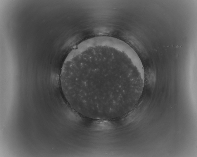 X0000112140427200908141158