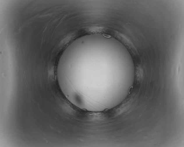 X0000112140428200908141158