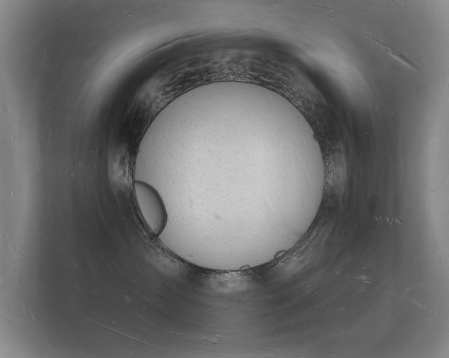 X0000112140431200908141158