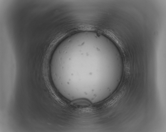 X0000112140433200908141157