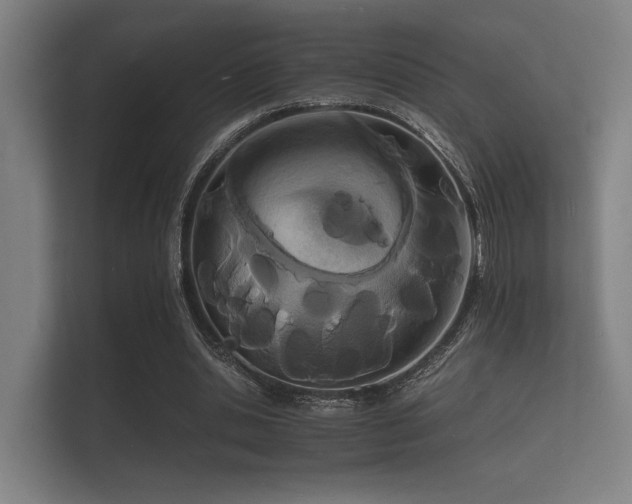 X0000112140438200908141157