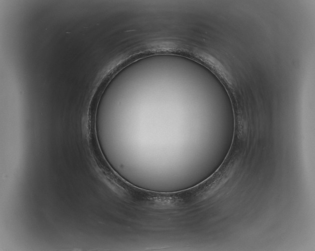 X0000112140439200908141157