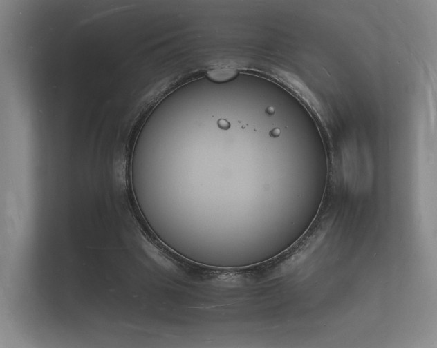 X0000112140441200908141157