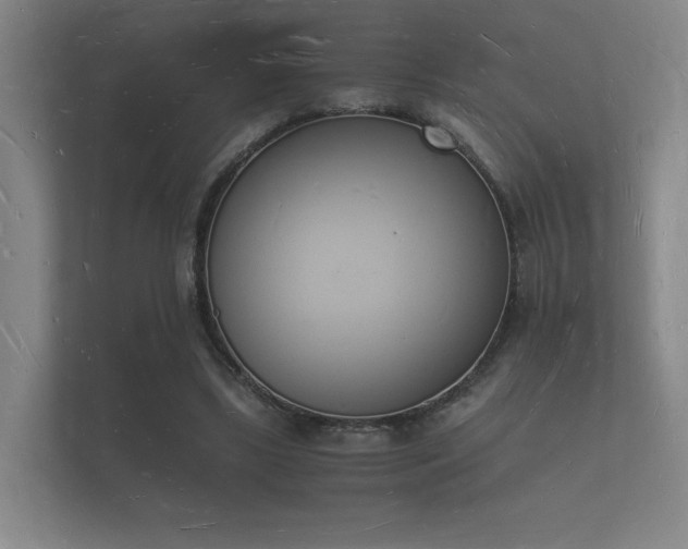 X0000112140443200908141157