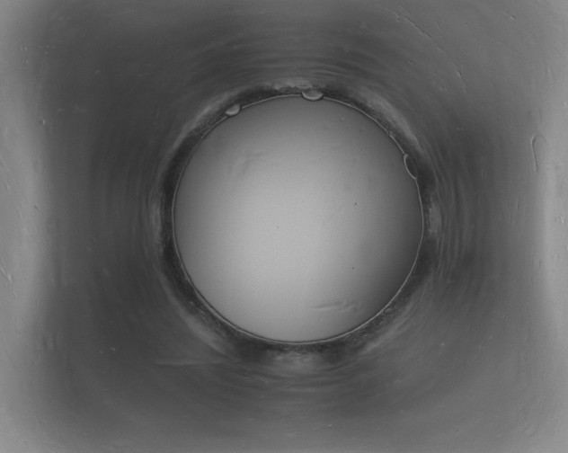 X0000112140444200908141157