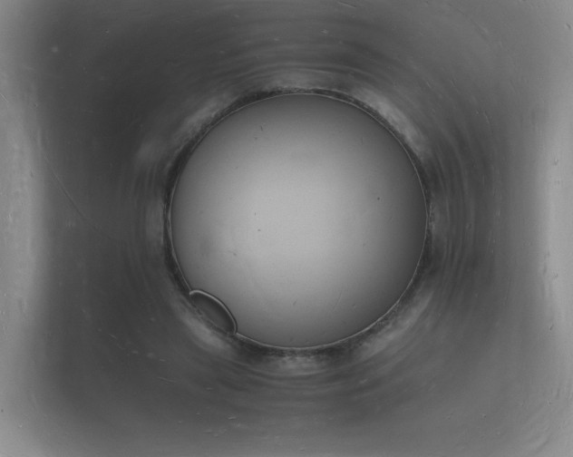 X0000112140445200908141157