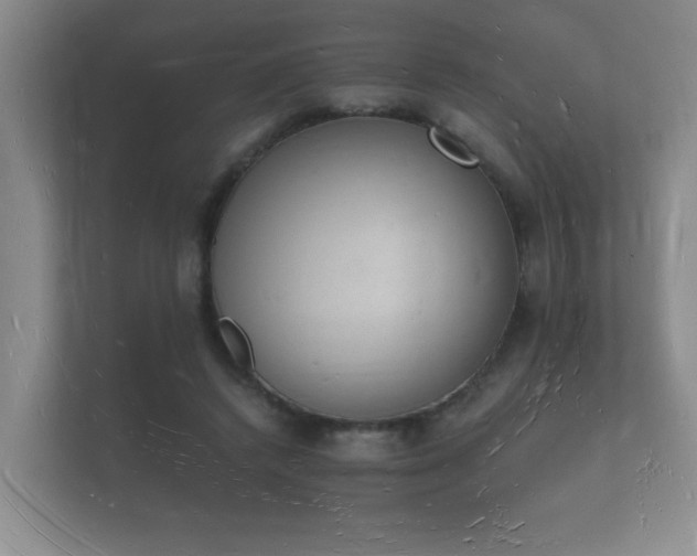 X0000112140448200908141157