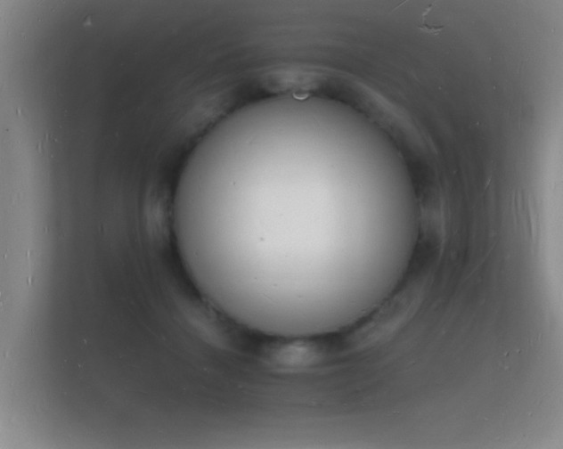 X0000112140460200908141157