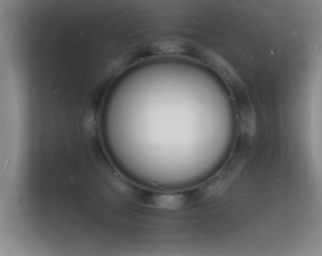 X0000112140465200908141157