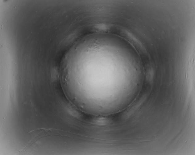 X0000112140467200908141157