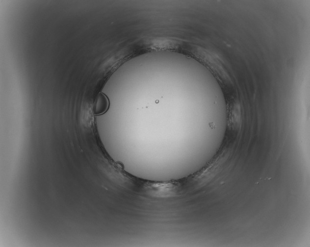 X0000112140478200908141158