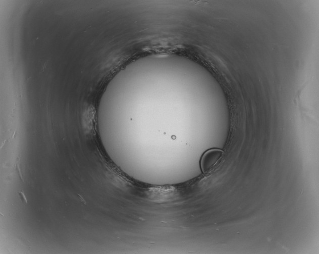 X0000112140480200908141158