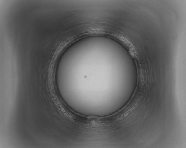 X0000112140481200908141157