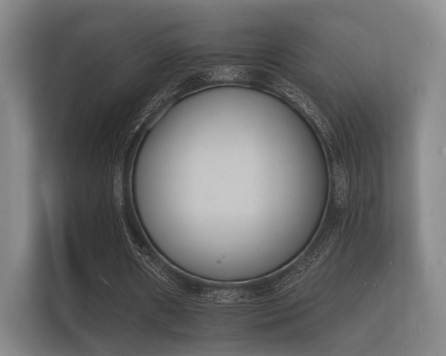 X0000112140482200908141157