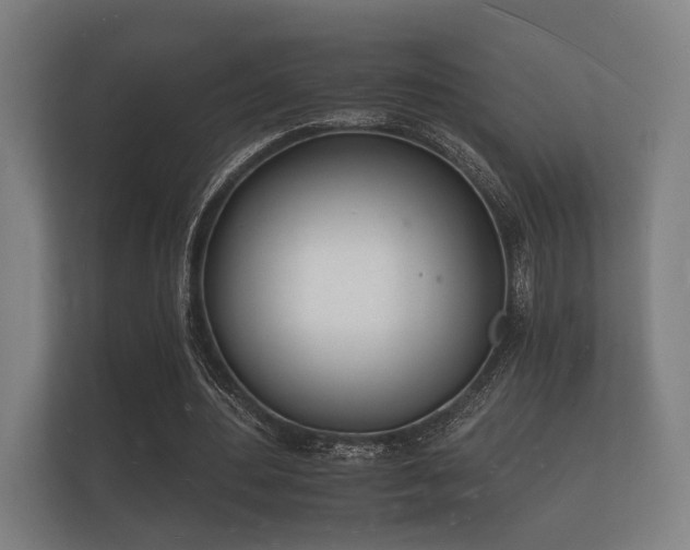 X0000112140484200908141157