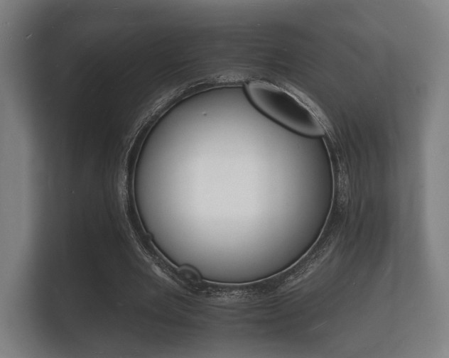 X0000112140485200908141157