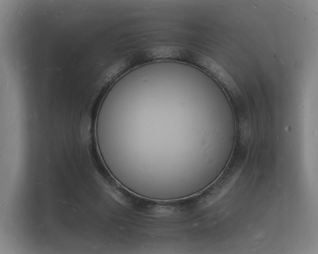 X0000112140490200908141157