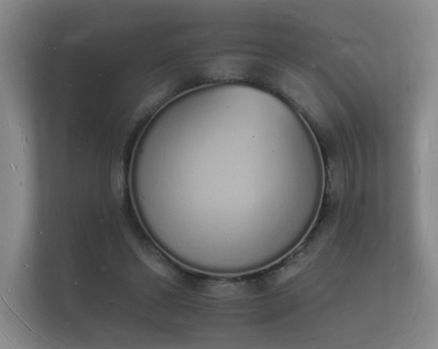 X0000112140494200908141157