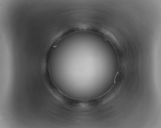 X0000112140496200908141157