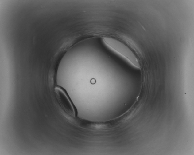 X0000112140501200908141157