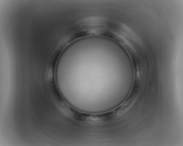 X0000112140502200908141157