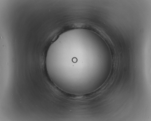 X0000112140505200908141157