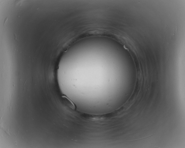 X0000112140508200908141157