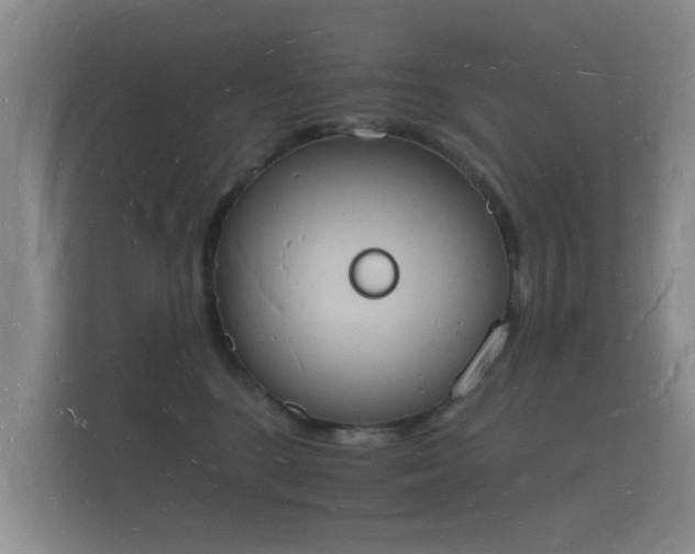 X0000112140520200908141157