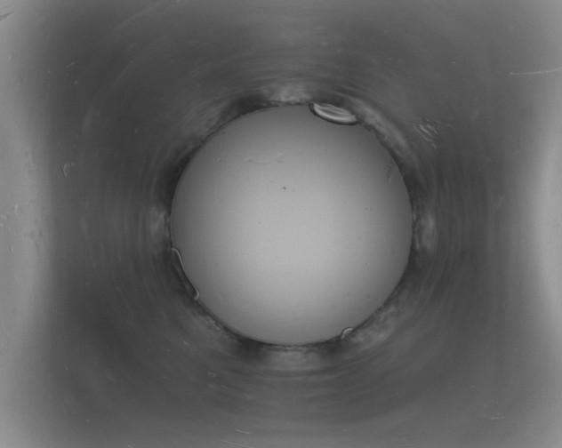 X0000112140521200908141157