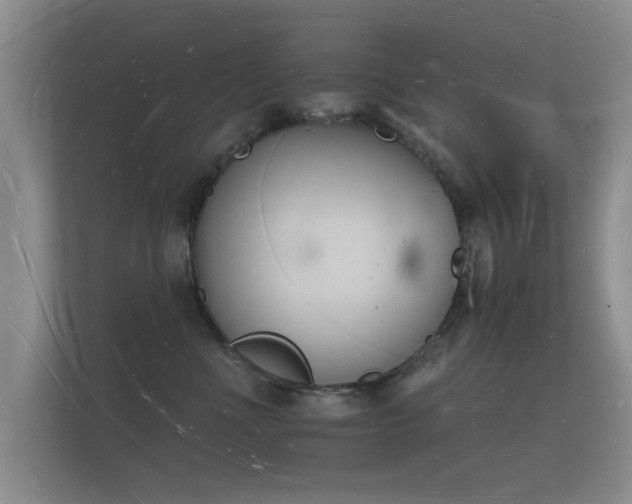 X0000112140523200908141156