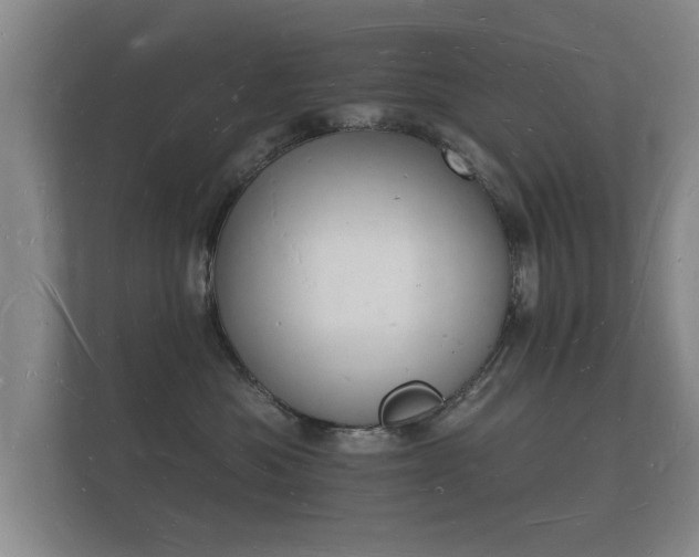 X0000112140525200908141156