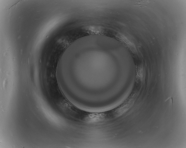 X0000112140526200908141156