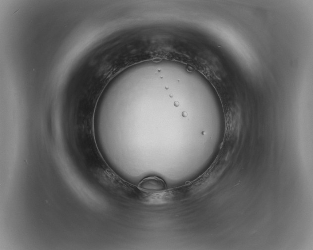 X0000112140527200908141156