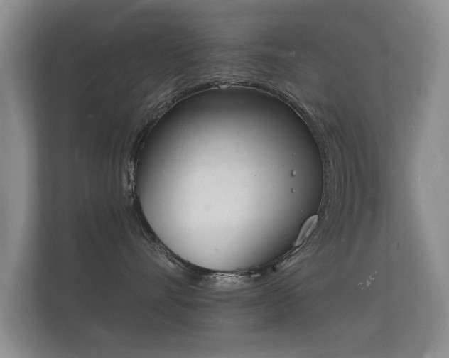 X0000112140528200908141156