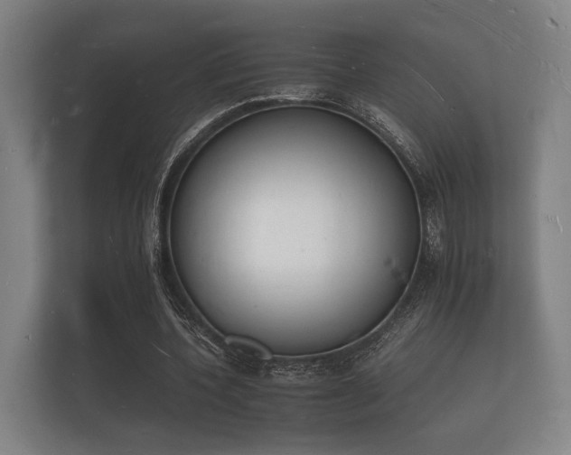 X0000112140532200908141156