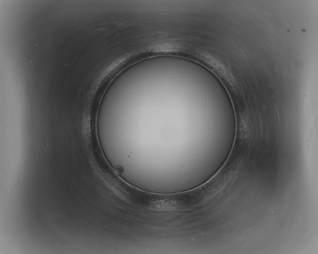 X0000112140535200908141156