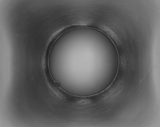 X0000112140536200908141156