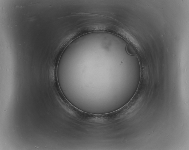 X0000112140537200908141156