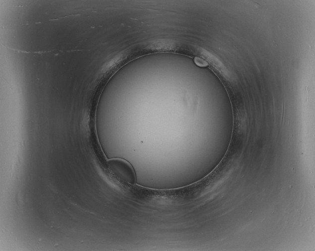 X0000112140538200908141156