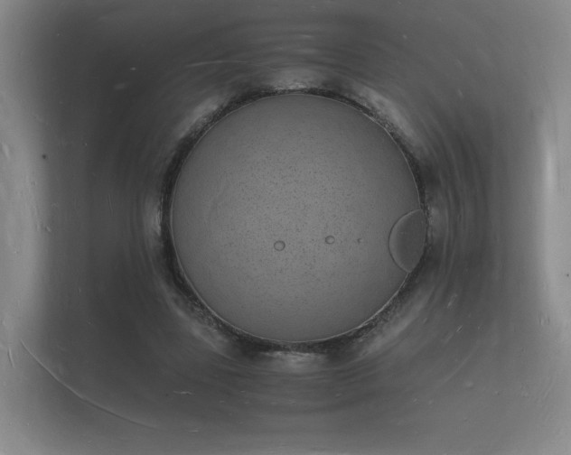 X0000112140539200908141156