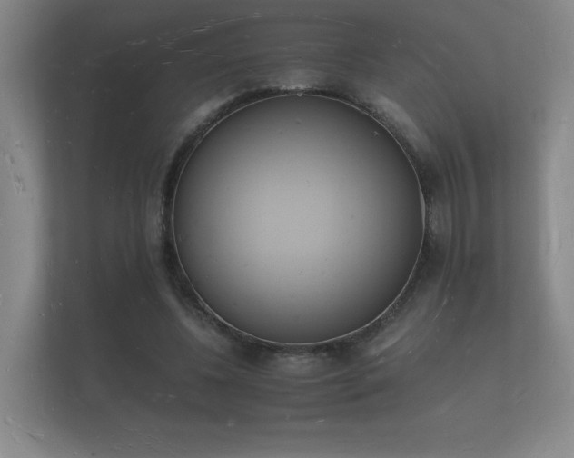 X0000112140540200908141156