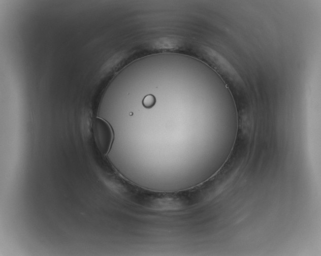 X0000112140544200908141156