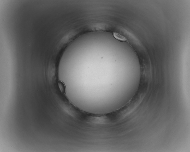 X0000112140548200908141156