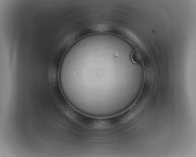 X0000112140549200908141156