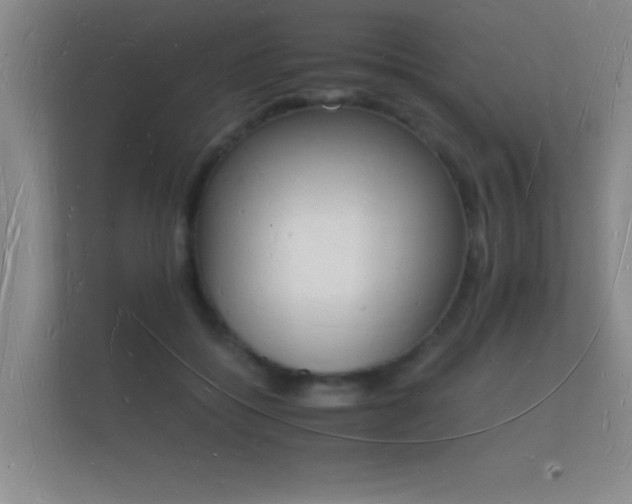 X0000112140556200908141156