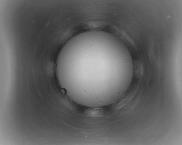 X0000112140563200908141156